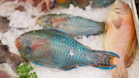 Camera moves along a variety of different steps of fish in a fishmongers shop 85289700