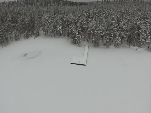 Camera moves among snow-covered trees during snowfall in forest at winter day. Stock Footage 69768176