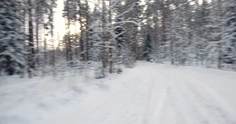 Camera moves among snow-covered trees during snowfall in forest at winter day Stock Footage 85662082