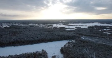 Camera moves among snow-covered trees during snowfall in forest at winter day Video stock 85662261