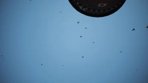 The camera moves around bird flying in clouds dark blue sky background. Bird Stock Footage 94532064