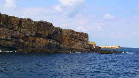 The camera moves around the southern cape of Snake Island. Video stock 255640422