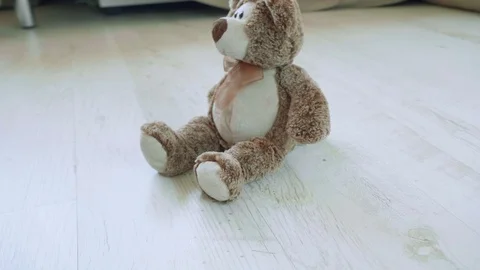 Camera moves around toy bear on floor Stock Footage 102456469