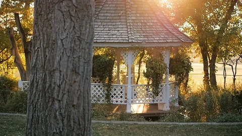 Camera moves around tree and reveals gazebo sunrise Stock-Footage 102670449