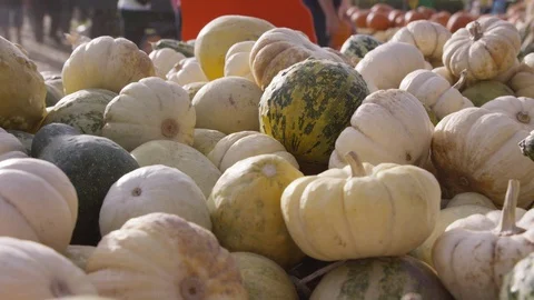 Camera moves around various gourds, pumpkins at harvest time 스톡 동영상 93485874