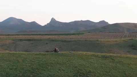The camera moves away from a panoramic view of young vineyards against the Stock Footage 114119377