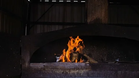 The camera moves to the barbecue oven. Stock Footage 77690845