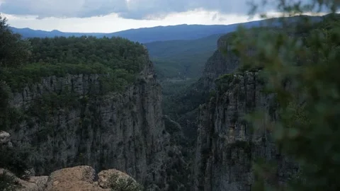 The camera moves from behind the bushes and offers a view of a canyon. Stock Footage 223589549
