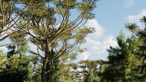 Camera moves Between Trees, 3D Rendering, 4K Animation Stock Footage 122248257