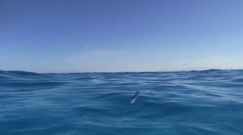 Camera Moves down Under Water Stock Footage 41783090