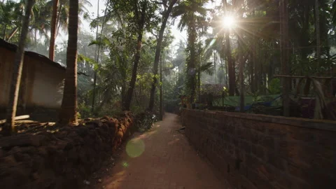 The camera moves forward along a narrow road along a village in the dense Video stock 246855432