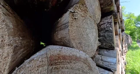 Camera moves from inside a stack of logs to reveal the full pile from the o.. Stock Footage 296843896