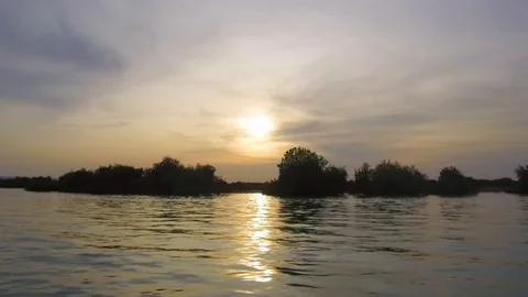 Camera moves inside tide waters of Avicennia marina with trees inside water Stock Footage 111886665