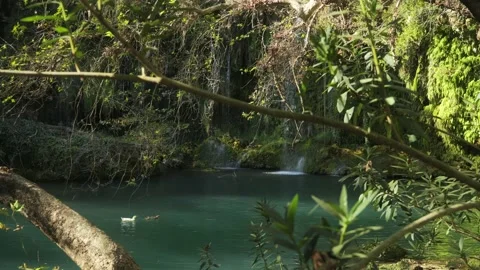 The camera moves from left to right and you can see the waterfall through Stock Footage 222743778
