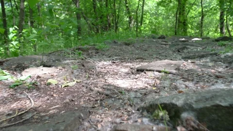 Camera moves low over the surface ground. 스톡 동영상 228234519