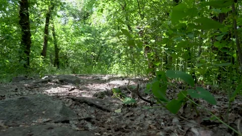 Camera moves low over the surface ground. 스톡 동영상 228234915