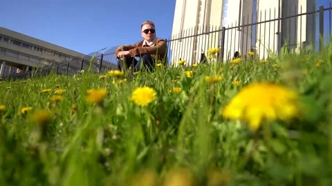 The camera moves low through green grass and dandelions, focusing on new details Stock Footage 142400822