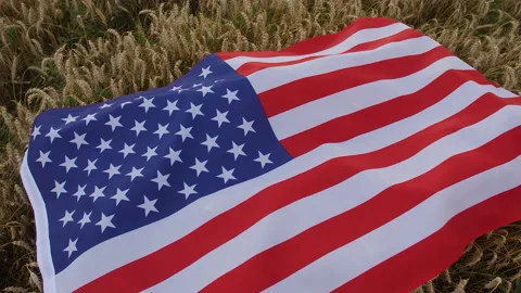 Camera moves up over a big usa flag lying on ears of wheat 스톡 동영상 172559053