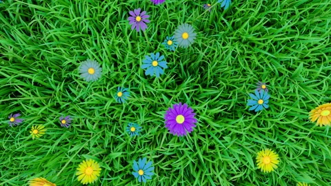 Camera moves over a grassy meadow Stock Footage 105466346