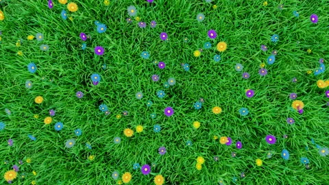 Camera moves over a grassy meadow with colorful spring flowers daisies Stock Footage 105466441