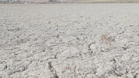 The camera moves over the parched earth. Climate change Stock Footage 319997757