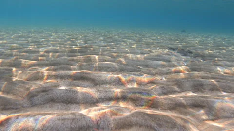 Camera moves over sandy seabed on sunny day, underwater video footage Stock Footage 301925357