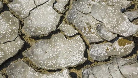 The camera moves over the texture of the mud Vidéo 89187907