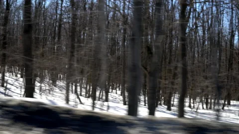 The camera moves parallel to the forest in the snow Stock Footage 151089110