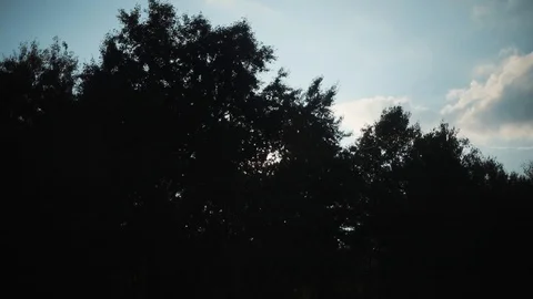 The camera moves past the field through which the sun shines, forest woods Stock Footage 94238272