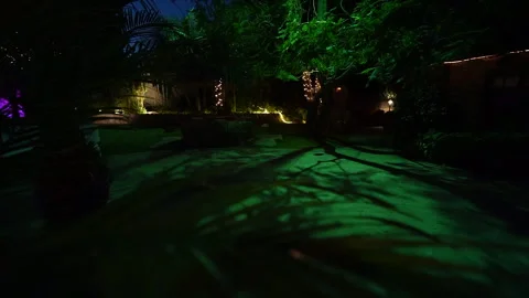 Camera moves past palm fronds into a green-lit garden patio at night Stock Footage 345542240