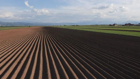 Camera moves by the potato field furrows after sowing Video stock 130403883