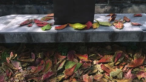 Camera moves to Shopping bag on a bench in an autumn park among foliage Vídeos de archivo 95301374
