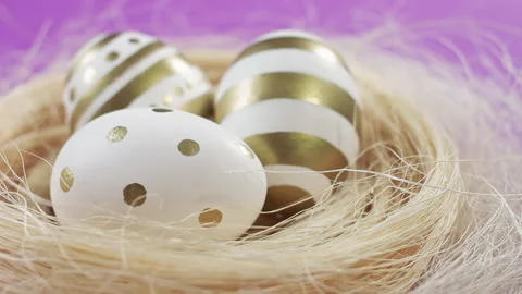 Camera moves slowly around the nest and eggs on purple background Stock Footage 174153791
