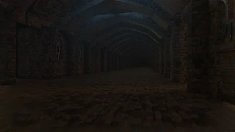 The camera moves slowly down the dark corridor of the castle. looped animation.  Stock Footage 169085321
