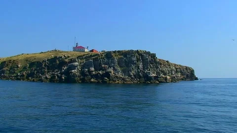 The camera moves slowly past Snake Island, it is sunny, the island is not far Video stock 248427422