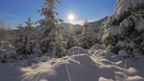 Camera moves slowly through the snow between snow-covered fir trees. Gorgeous 스톡 동영상 154027331