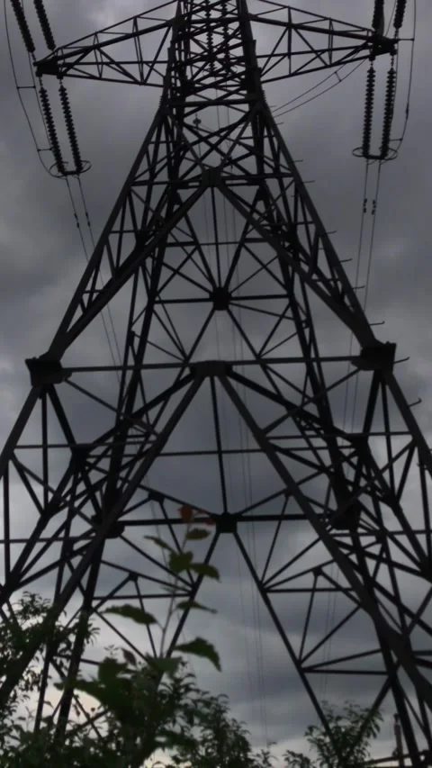 The camera moves smoothly through the green wild grass Stock Footage 241180633