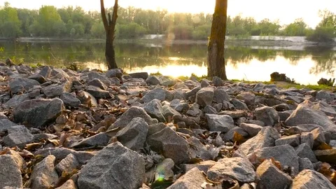 The camera moves on a stone against the background of a river. Sun rays. Trees Stock Footage 76758705