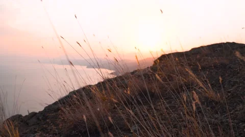 The camera moves through the grass on the mountain at sunset Stock Footage 160758431