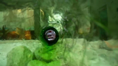 The camera moves through a plastic bottle revealing a view of an abandoned Stock Footage 235199329