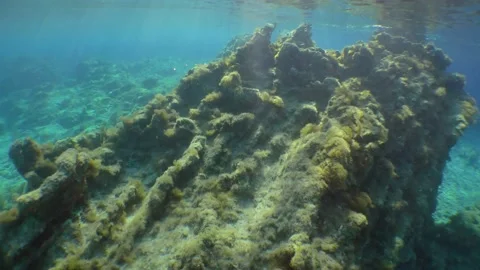The camera moves through the slanting rays of the sun above the shallow waters. Stock Footage 142575379