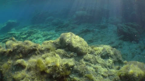 The camera moves through the slanting rays of the sun above the shallow waters. Stock Footage 248426852