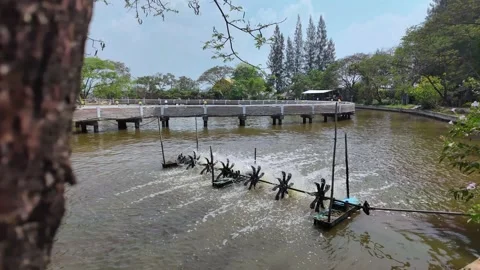 The camera moves through the trees to see a water turbine in a pond Stock Footage 276339293