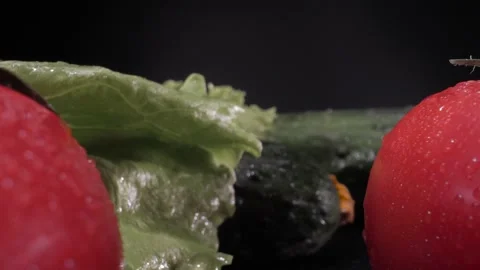 The camera moves through vegetables: tomatoes and cucumbers, close-up. Macro mod Stock Footage 144334629