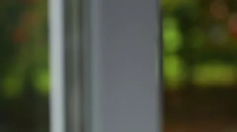 Camera moves through the window at the Russian blue cat Video stock 41636785