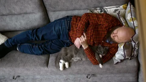 Camera moves from top right to left, man with beard and gray kitten are resting Stock Footage 223339396