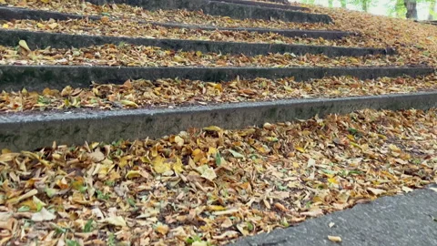 Camera moves upward along old stone steps covered with fallen autumn leaves Stock Footage 327638922