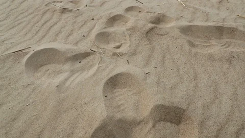 Camera moves upwards taking off the sandy beach and the sea Stock Footage 111595146