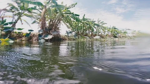 Camera moves on the water Stock Footage 80533193