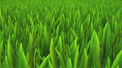 Camera moving on a 3d grass field looping Stock Footage 91296861